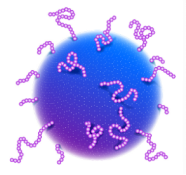 Vector Laboratories｜用于生物偶联疗法BioDesign™ dPEG® Linker连接平台