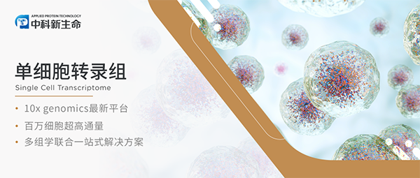 干货分享 | 单细胞转录组CellRanger分析结果，应该怎么看