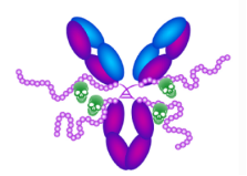 Vector Laboratories｜用于生物偶联疗法BioDesign™ dPEG® Linker连接平台