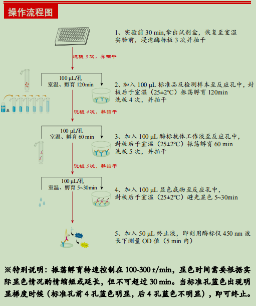 人胰岛素样生长因子结合蛋白7检测试剂盒