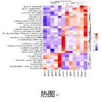 挥发性物质代谢组(GC-MS)