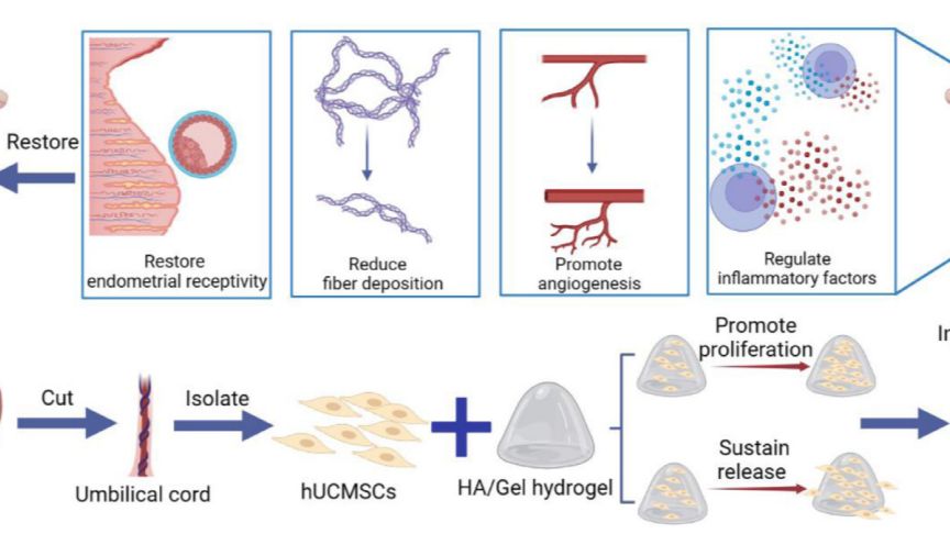 生化检测│肾功能、肝功能、血糖、血脂检测临床意义及科学研究应用分享