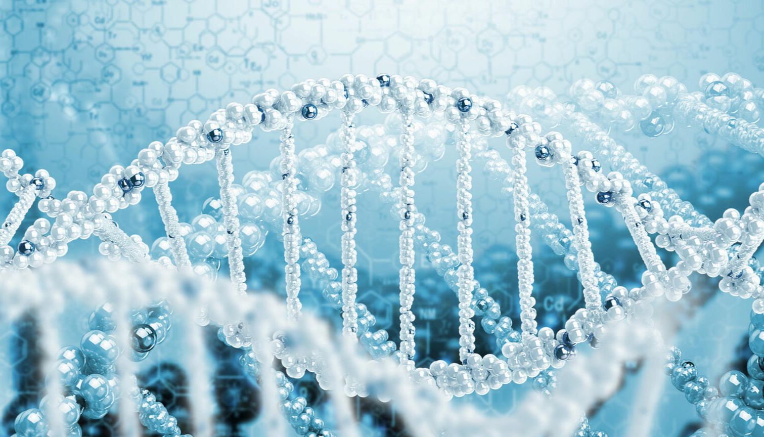 【干货】用于准确检测点突变的ARMS-PCR方法