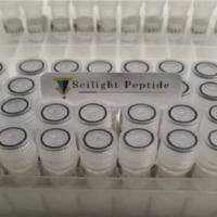 Mouse/Rat MOG (35-55)