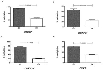 【干货】甲基化PCR检测、优化建议及优质分子酶的应用案例