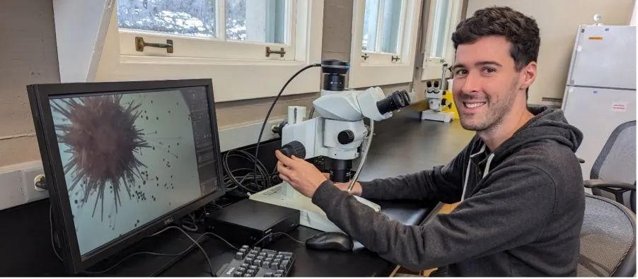 认识EVIDENT第四届全球显微图像大赛全球大奖获得者