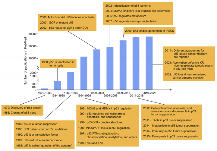 关于肿瘤克星——P53，这些你都知道吗？