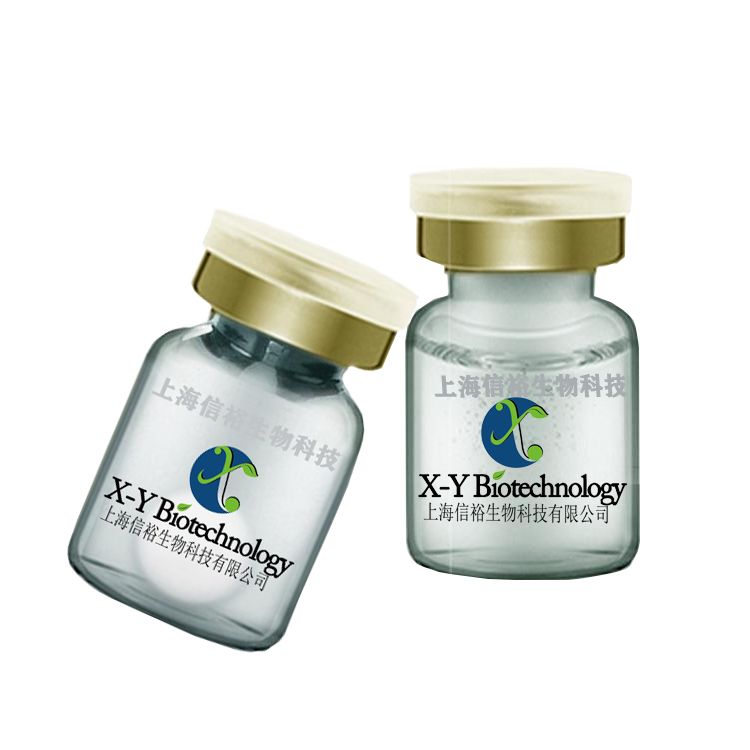 彩色预染蛋白Marker(10-180 kDa,三色)P6110M