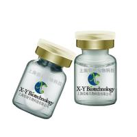 彩色预染蛋白Marker（10-180 kDa，三色）P6110M