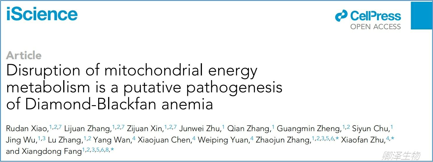 客户文章 | 复旦大学唐爽/宋少莉团队揭示外泌体circPLEKHM1可作为非小细胞肺癌转移的生物标志物