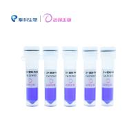 2×SDS-PAGE速沉蛋白上样缓冲液