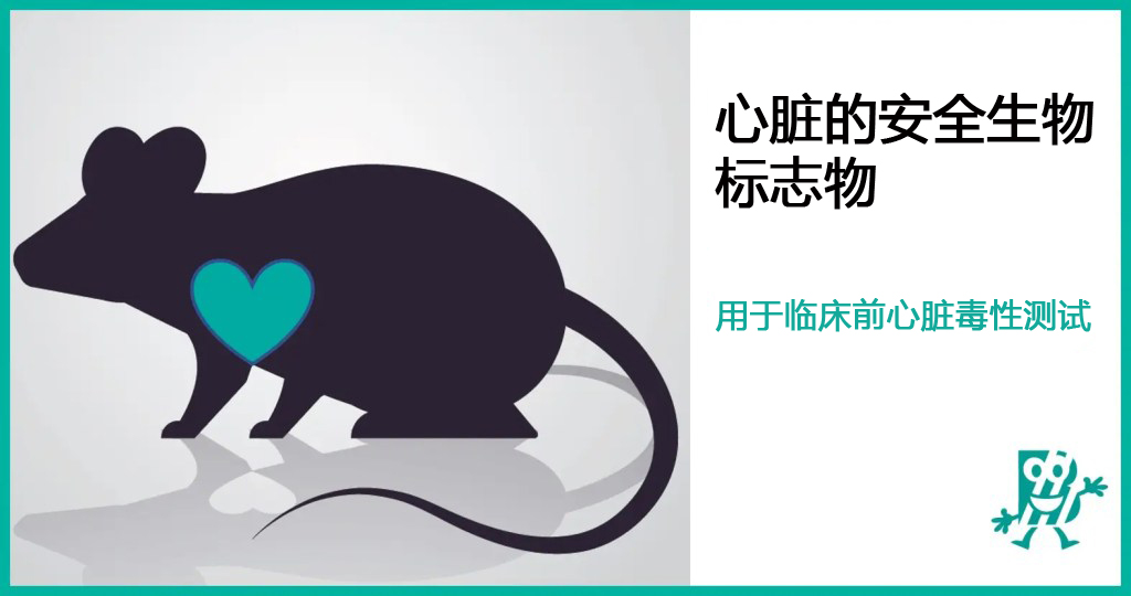 心脏安全"守护神"：临床前心脏毒性测试的生物标志物！？