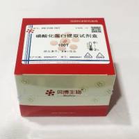 BB-3105  磷酸化蛋白提取试剂盒