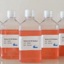 Balance CD 293 培养基