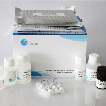 Rat PTS (6-pyruvoyl tetrahydrobiopterin synthase) ELISA Kit|大鼠PTS ELISA试剂盒