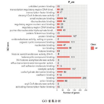 CRISPR 筛选