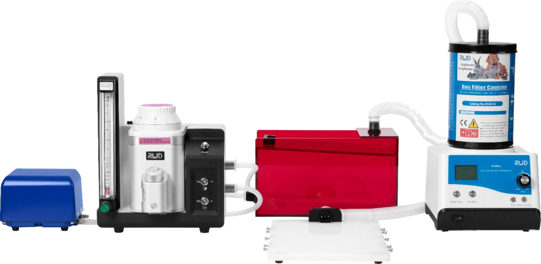 冷冻切片前处理操作以及注意事项有哪些？