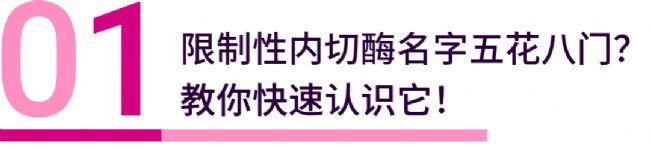 科研小白的装 X 宝典？限制性内切酶实验大盘点！