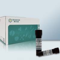 Super GelBlueTM 核酸染料, 10,000× in water S2019L