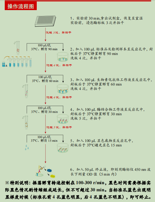 人肾母细胞瘤过度表达基因检测试剂盒