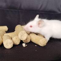 45%脂肪供能高脂饲料