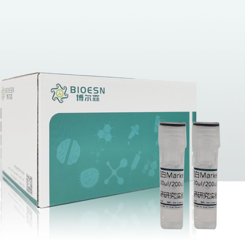 彩色预染蛋白 Marker（10-180 kDa，三色） P6110M