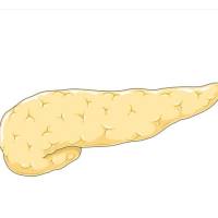 急性胰腺炎大鼠模型