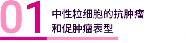 高端局! 中性粒细胞与肿瘤, 正耶? 邪耶?