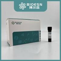 GelstainRedTM 核酸染料, 10,000× in water S2009L