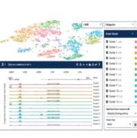 10× Genomics 单细胞ATAC