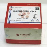 细胞核蛋白提取试剂盒
