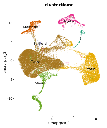 实验干货 | 一文快速掌握单细胞核RNA测序