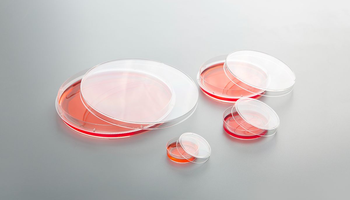 细胞培养耗材的培养表面为啥需要TC处理？