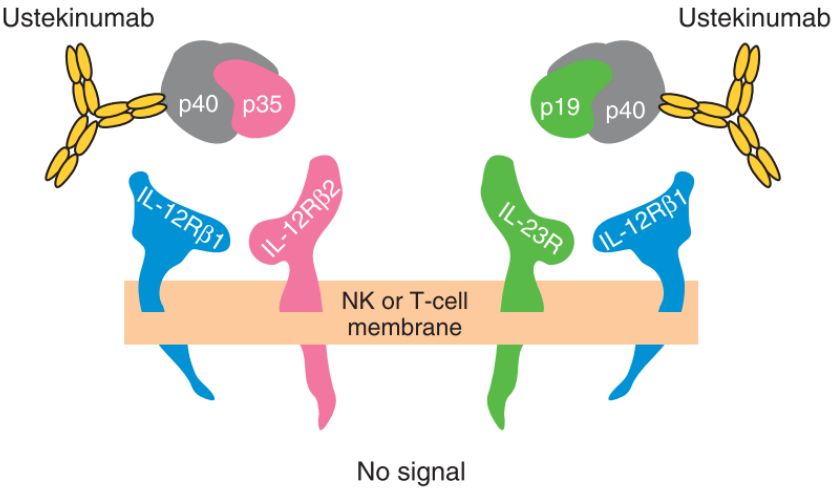 阿狄科®乌司奴单抗药物浓度检测试剂盒（酶联免疫法）