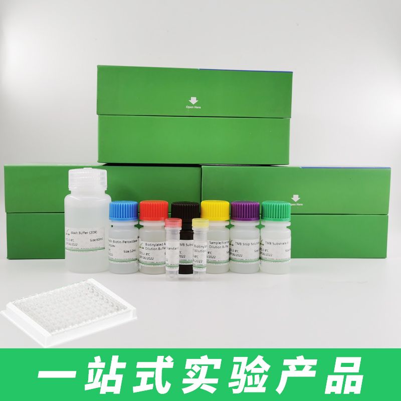 Super ECL Plus(超敏化学发光检测试剂盒) S6009M