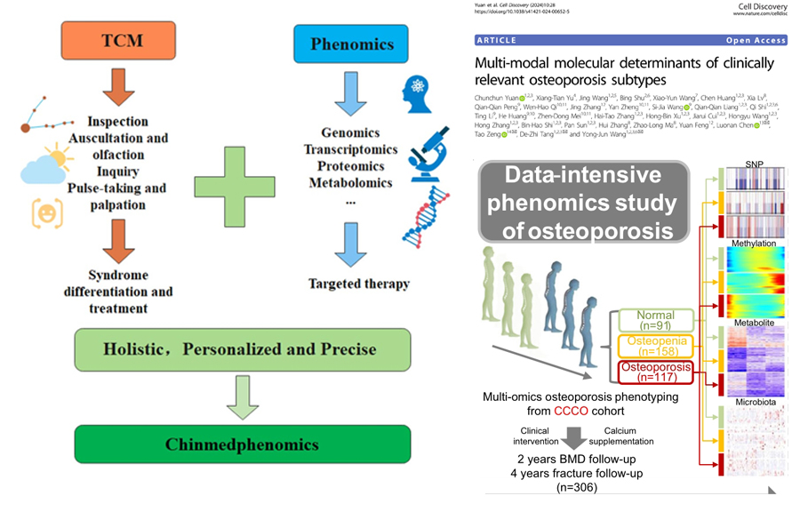 客户案例 | Cell Discov（IF=33.5）迄今最大队列发现补钙不能防止骨质疏松？