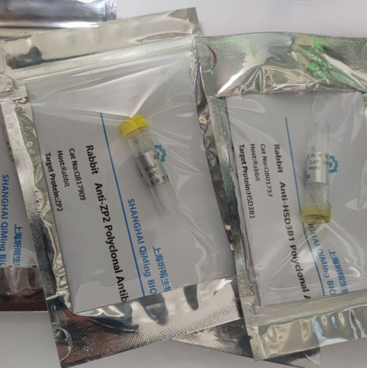 重组人CASP1/Caspase-1蛋白(N-His标签)