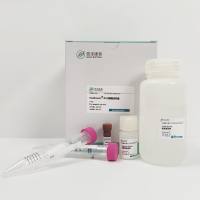 ExoBrooch®外泌体RVG靶向肽修饰试剂盒-靶向神经系统工程化外泌体递送研究