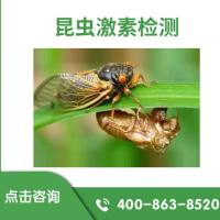 昆虫激素检测