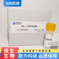 PE-Cy5.5标记的兔抗长爪沙鼠IgG