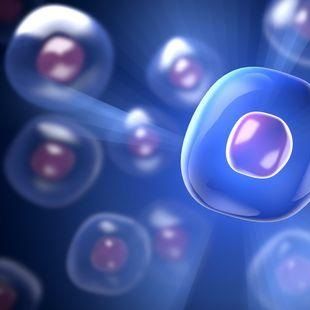 HCT8/FU、HCT-8FU氟尿嘧啶耐药