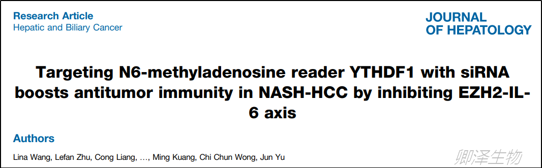 J Hepatol. | Ribo-seq技术助力挖掘肝癌中新的功能靶点