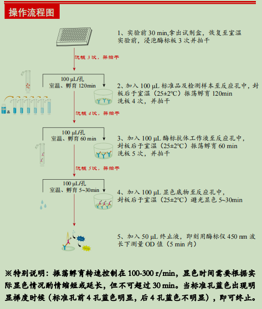 产品细节图片2