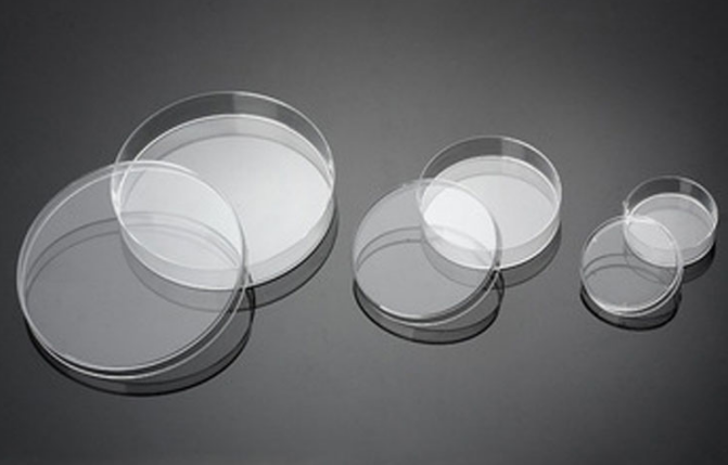 直径90mm细菌培养皿在科研中的应用