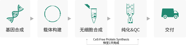 無細胞蛋白表達服務