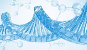 Anti-GFP Nanobody Agarose Beads