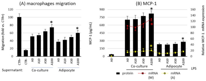 Asprosin 通过脂肪细胞和巨噬细胞共培养增强细胞因子的产生，导致肥胖相关炎症的恶化