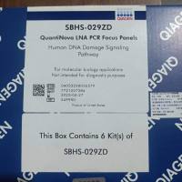 qiagen 凯杰一级签约代理商 249950 QuantiNova LNA PCR Focus Panels