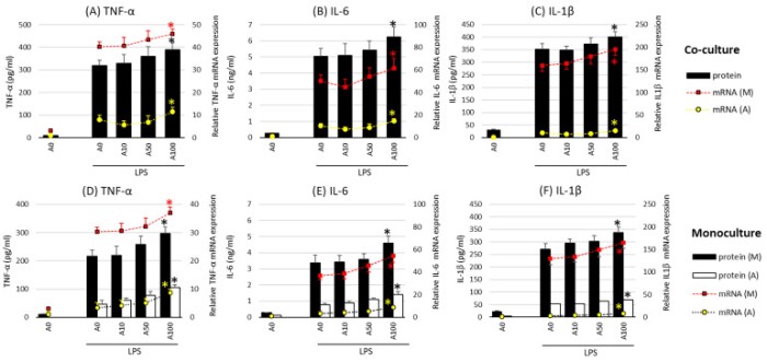 Asprosin 通过脂肪细胞和巨噬细胞共培养增强细胞因子的产生，导致肥胖相关炎症的恶化