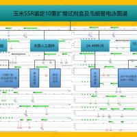 种子SSR鉴定（真实性鉴定、纯度鉴定）及混扩试剂盒